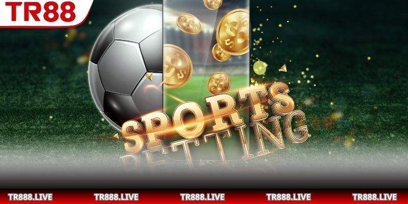 Diễn giải lợi nhuận thực tế khi tham gia chơi