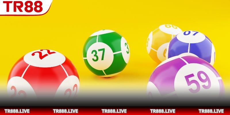 Khám phá sự liên kết giữa từng con giáp và các số phúc lộc