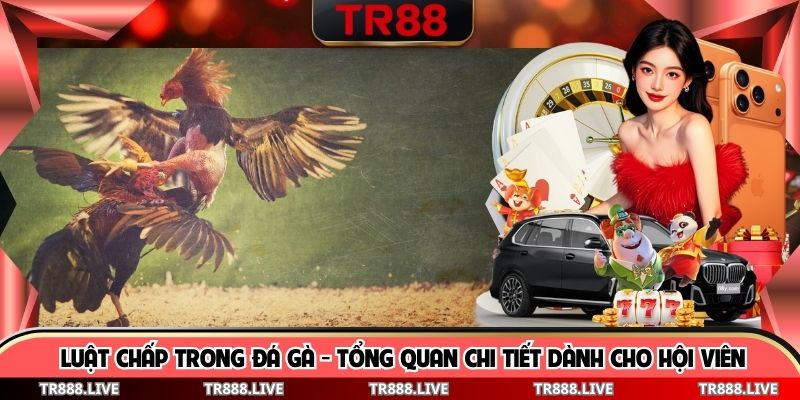Luật Chấp Trong Đá Gà - Tổng Quan Chi Tiết Dành Cho Hội Viên